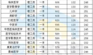 一本医科大学排名及分数线2019